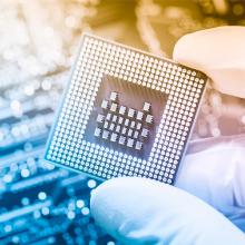 Gloved hand holding chip