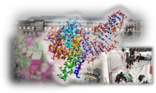 Summer AI & Protein Discovery